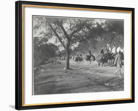 Along the Grand Trunk Road into Delhi, December 1912-English Photographer-Framed Photographic Print