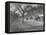 Along the Grand Trunk Road into Delhi, December 1912-English Photographer-Framed Premier Image Canvas