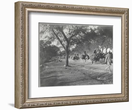 Along the Grand Trunk Road into Delhi, December 1912-English Photographer-Framed Photographic Print