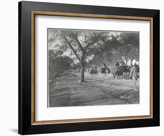 Along the Grand Trunk Road into Delhi, December 1912-English Photographer-Framed Photographic Print