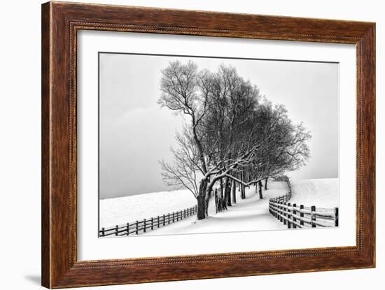 Along the Lane I-Aledanda-Framed Art Print