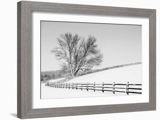 Along the Lane II-Aledanda-Framed Art Print