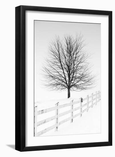 Along the Lane III-Aledanda-Framed Art Print