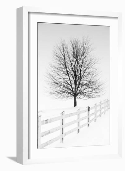 Along the Lane III-Aledanda-Framed Art Print