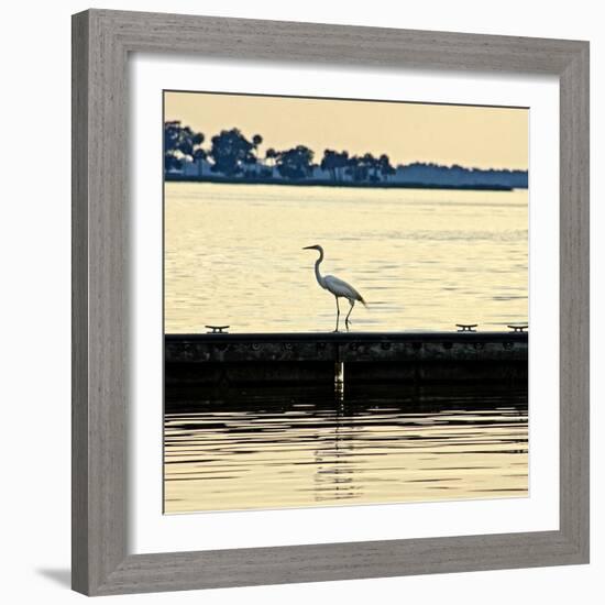 Along the Pier-Bruce Nawrocke-Framed Photographic Print