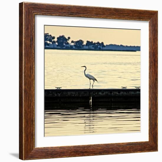 Along the Pier-Bruce Nawrocke-Framed Photographic Print