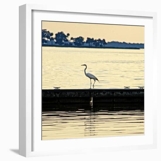 Along the Pier-Bruce Nawrocke-Framed Photographic Print