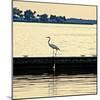 Along the Pier-Bruce Nawrocke-Mounted Photographic Print