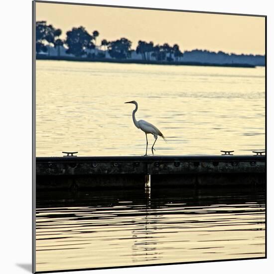Along the Pier-Bruce Nawrocke-Mounted Photographic Print