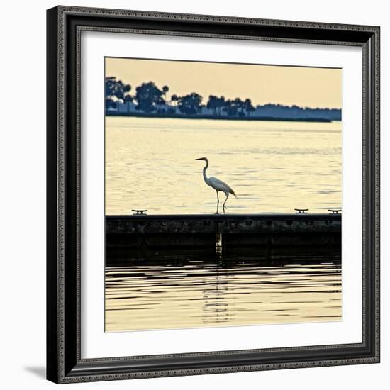 Along the Pier-Bruce Nawrocke-Framed Photographic Print