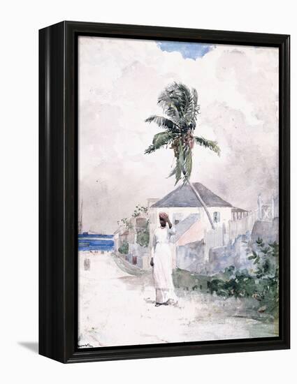 Along the Road, the Bahamas, 1885-Winslow Homer-Framed Premier Image Canvas