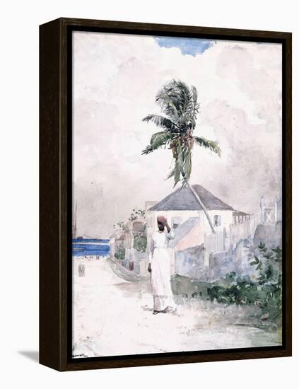 Along the Road, the Bahamas, 1885-Winslow Homer-Framed Premier Image Canvas