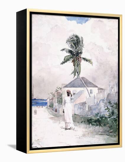 Along the Road, the Bahamas, 1885-Winslow Homer-Framed Premier Image Canvas