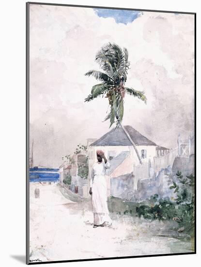 Along the Road, the Bahamas, 1885-Winslow Homer-Mounted Giclee Print