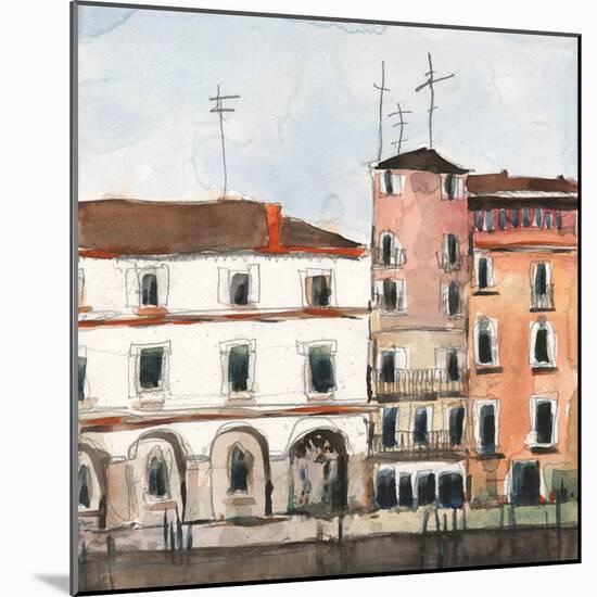 Along the Venice Facade-Samuel Dixon-Mounted Art Print