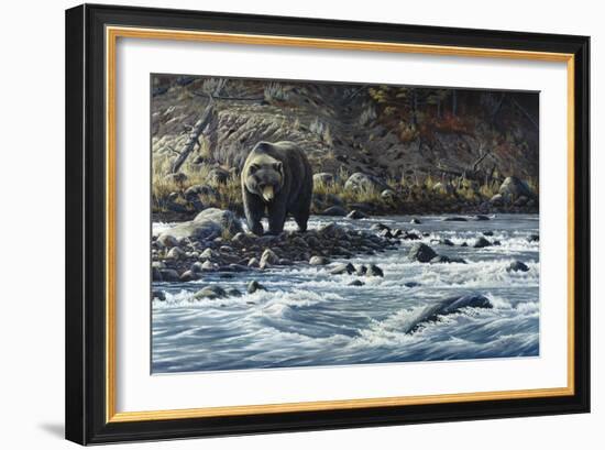 Along the Yellowstone - Grizzly-Wilhelm Goebel-Framed Giclee Print