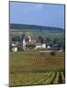 Aloxe-Corton, Cote-d'Or, Burgundy, France-Doug Pearson-Mounted Photographic Print