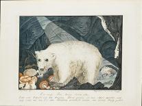 The White Saki, 1835-Aloys Zotl-Framed Giclee Print