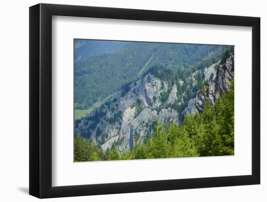 Alp scenery, Rote Wand (mountain), Styria, Austria, Europe,-David & Micha Sheldon-Framed Photographic Print
