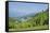 Alp scenery, Rote Wand (mountain), Styria, Austria, Europe,-David & Micha Sheldon-Framed Stretched Canvas