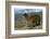 Alpaca, Cuzco, Peru, South America-Sybil Sassoon-Framed Photographic Print