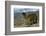 Alpaca, Cuzco, Peru, South America-Sybil Sassoon-Framed Photographic Print