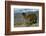 Alpaca, Cuzco, Peru, South America-Sybil Sassoon-Framed Photographic Print