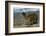 Alpaca, Cuzco, Peru, South America-Sybil Sassoon-Framed Photographic Print