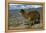 Alpaca, Cuzco, Peru, South America-Sybil Sassoon-Framed Premier Image Canvas