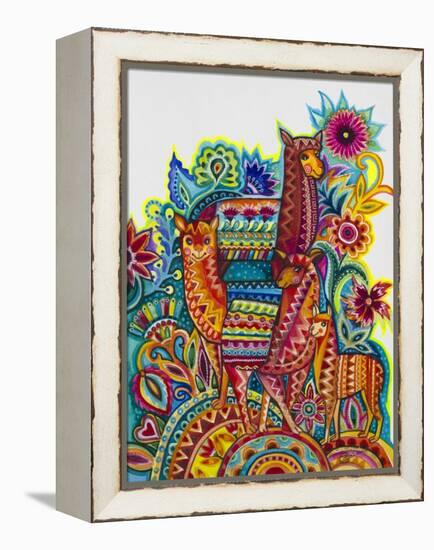 Alpaca From Mexico-Oxana Zaika-Framed Premier Image Canvas