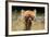 Alpaca Lama-erikgessinger-Framed Photographic Print