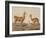 Alpaca (Left) and Vicuna (Right) Llamas, from 'Le Costume Ancien Et Moderne', Volume Ii, Plate 12,-Vittorio Raineri-Framed Giclee Print