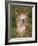 Alpaca Portrait, Altiplano, Bolivia-Pete Oxford-Framed Photographic Print