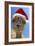 Alpaca Wearing Christmas Hat-null-Framed Photographic Print