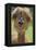 Alpaca-null-Framed Premier Image Canvas