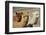 Alpaca-meunierd-Framed Premium Photographic Print