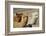 Alpaca-meunierd-Framed Photographic Print