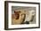 Alpaca-meunierd-Framed Photographic Print