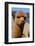 Alpaca-meunierd-Framed Photographic Print