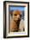 Alpaca-meunierd-Framed Photographic Print