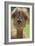 Alpaca-null-Framed Photographic Print