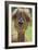 Alpaca-null-Framed Photographic Print