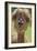 Alpaca-null-Framed Photographic Print