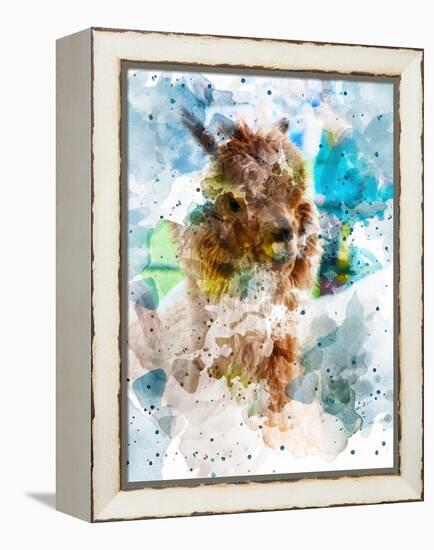 Alpaca-Chamira Young-Framed Stretched Canvas