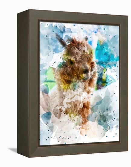 Alpaca-Chamira Young-Framed Stretched Canvas