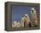 Alpacas, Andes, Ecuador-Pete Oxford-Framed Premier Image Canvas