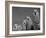 Alpacas, Andes, Ecuador-Pete Oxford-Framed Photographic Print