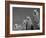 Alpacas, Andes, Ecuador-Pete Oxford-Framed Photographic Print