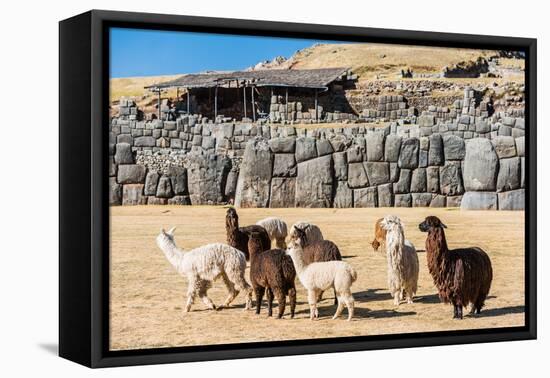 Alpacas at Sacsayhuaman, Incas Ruins in the Peruvian Andes at Cuzco Peru-OSTILL-Framed Premier Image Canvas