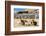 Alpacas at Sacsayhuaman, Incas Ruins in the Peruvian Andes at Cuzco Peru-OSTILL-Framed Photographic Print